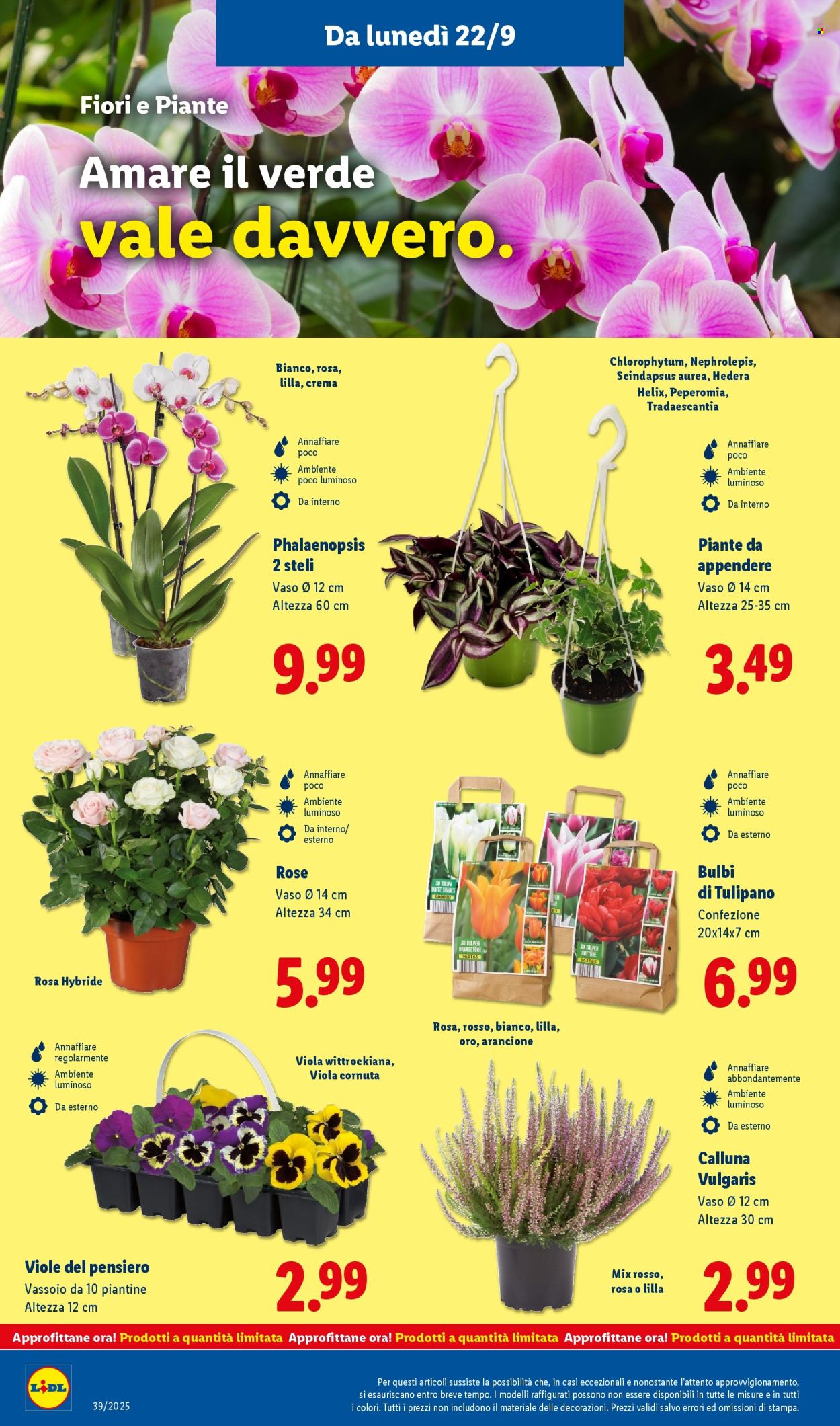 Volantino Lidl - 22/9/2025 - 28/9/2025. Pagina 42