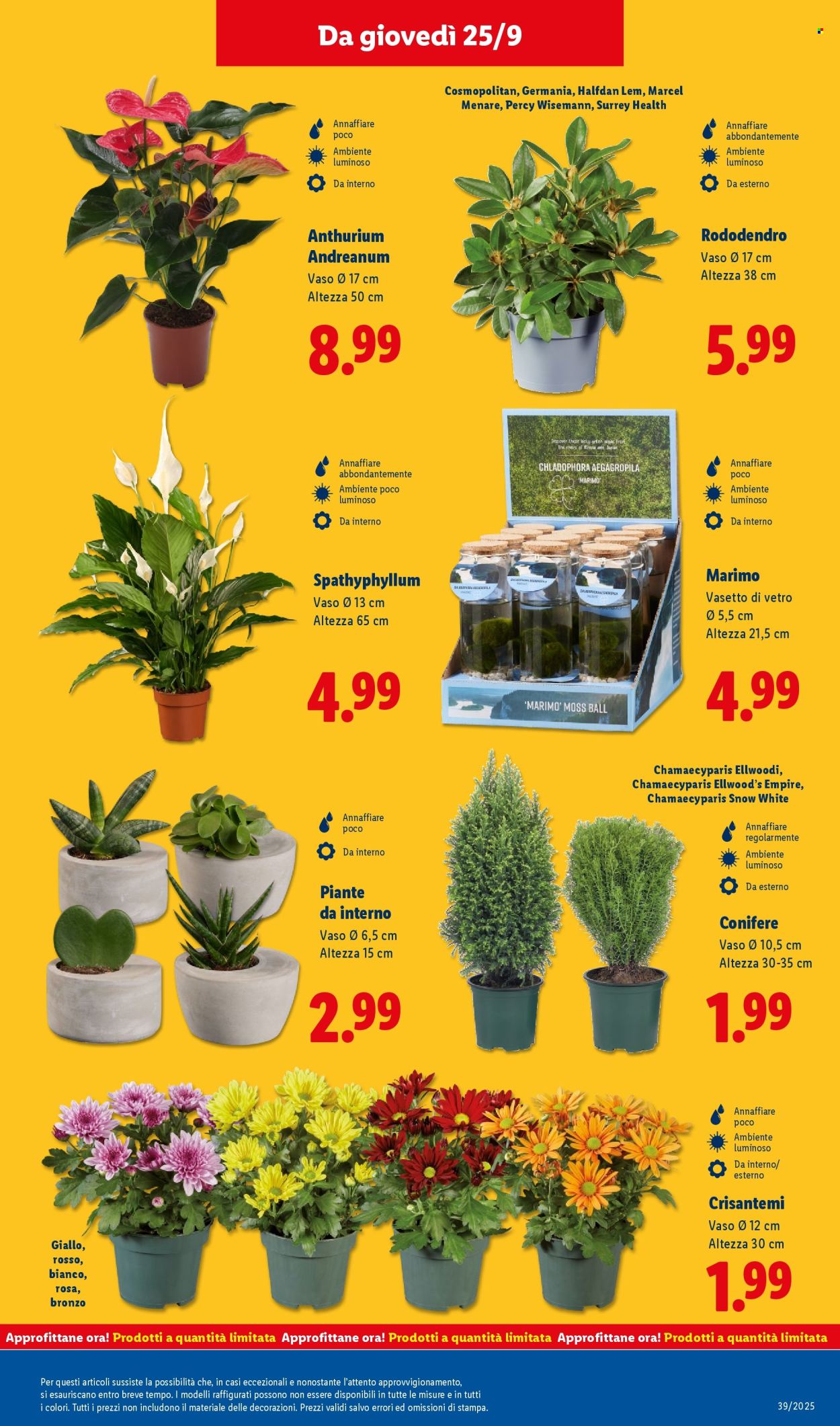 Volantino Lidl - 22/9/2025 - 28/9/2025. Pagina 43