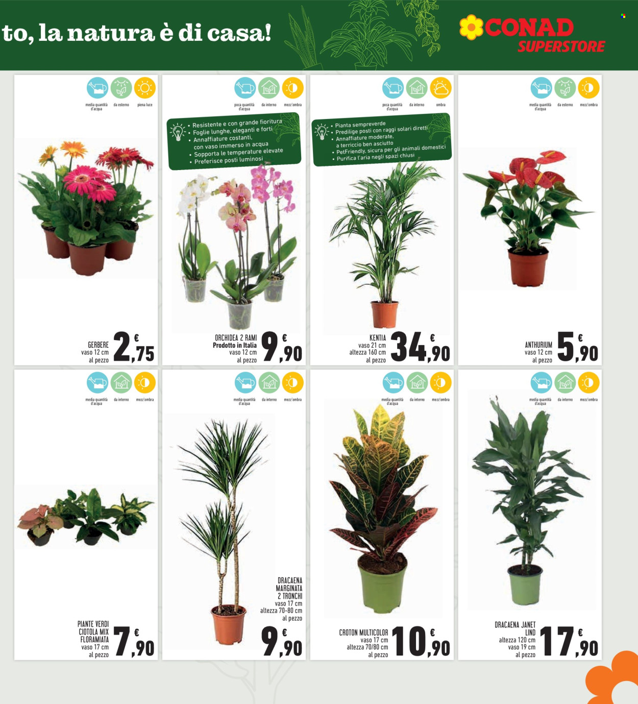 Volantino Spazio Conad - 25/9/2025 - 7/10/2025. Pagina 7