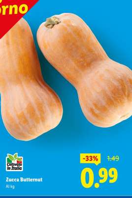Zucca Butternut