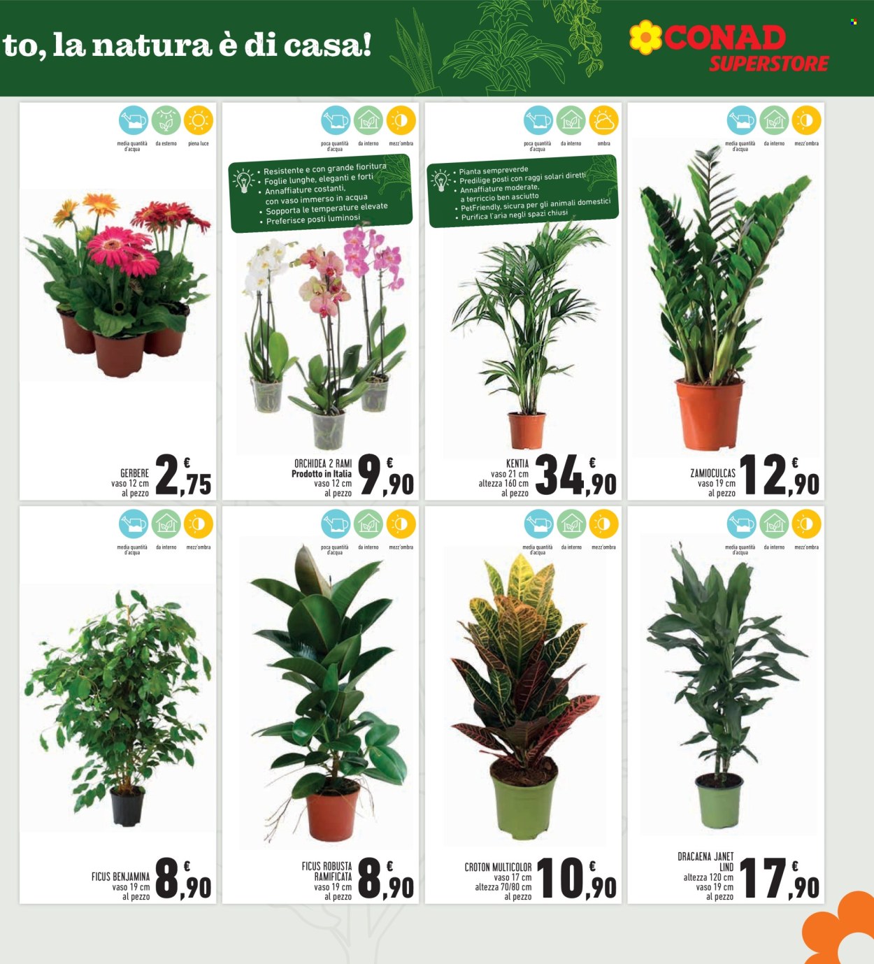 Volantino Conad - 25/9/2025 - 8/10/2025. Pagina 7