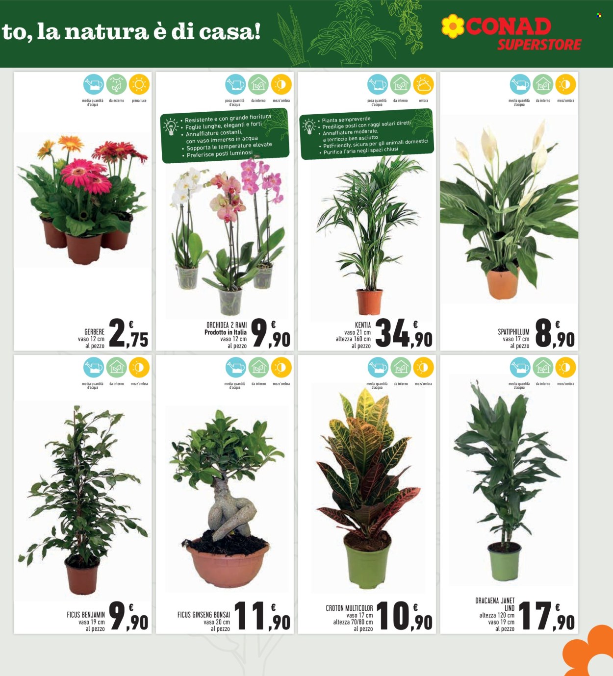 Volantino Conad Superstore - 25/9/2025 - 8/10/2025. Pagina 7