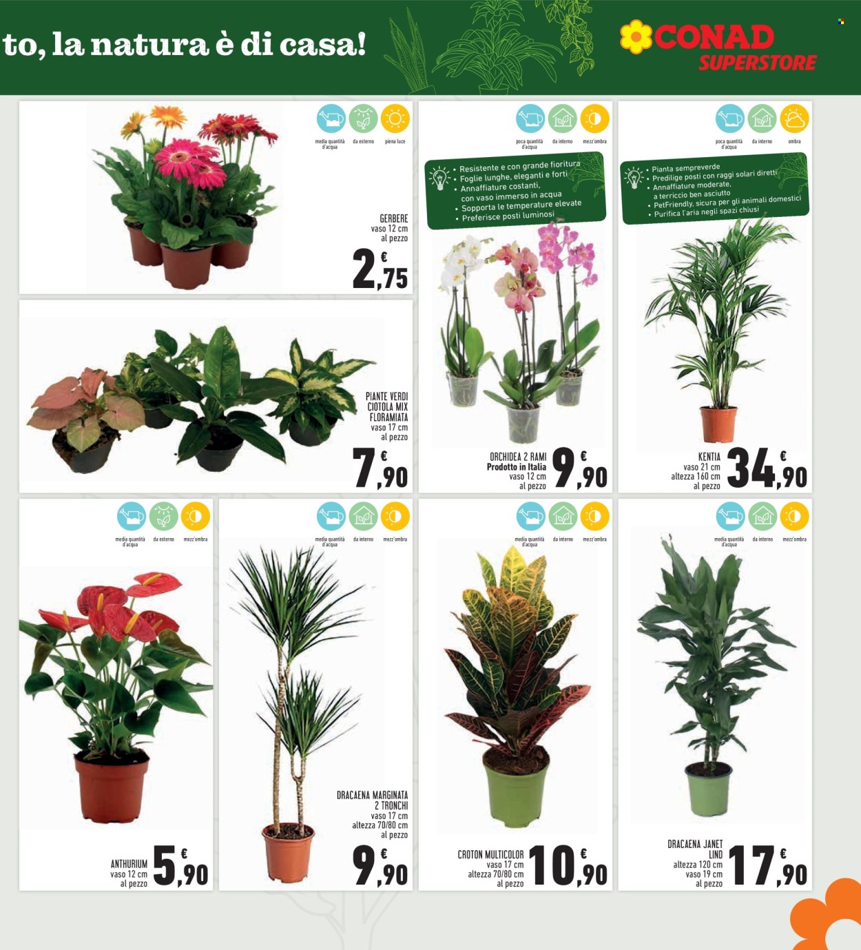 Volantino Conad - 25/9/2025 - 8/10/2025. Pagina 7