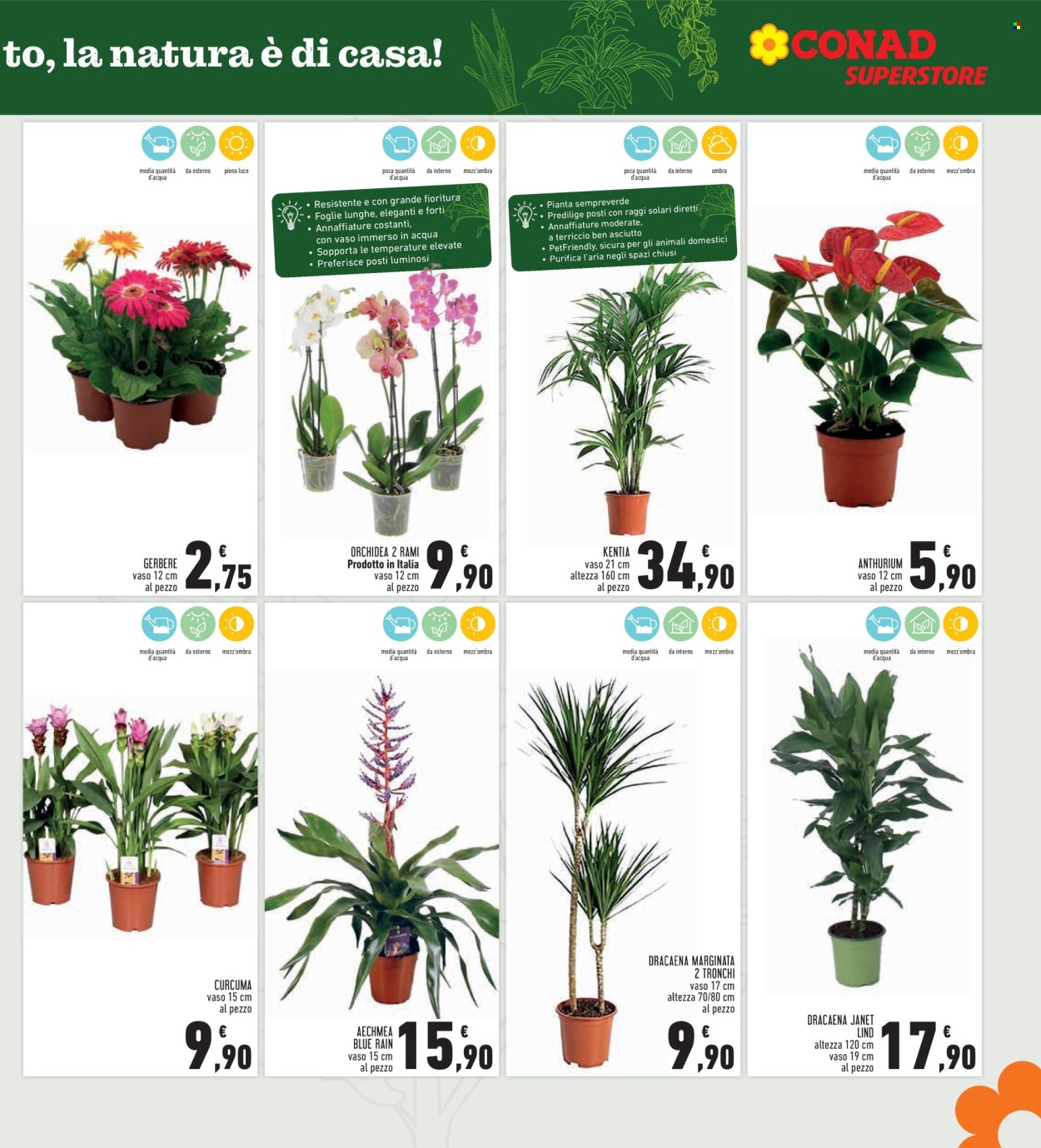 Volantino Conad - 25/9/2025 - 8/10/2025. Pagina 7