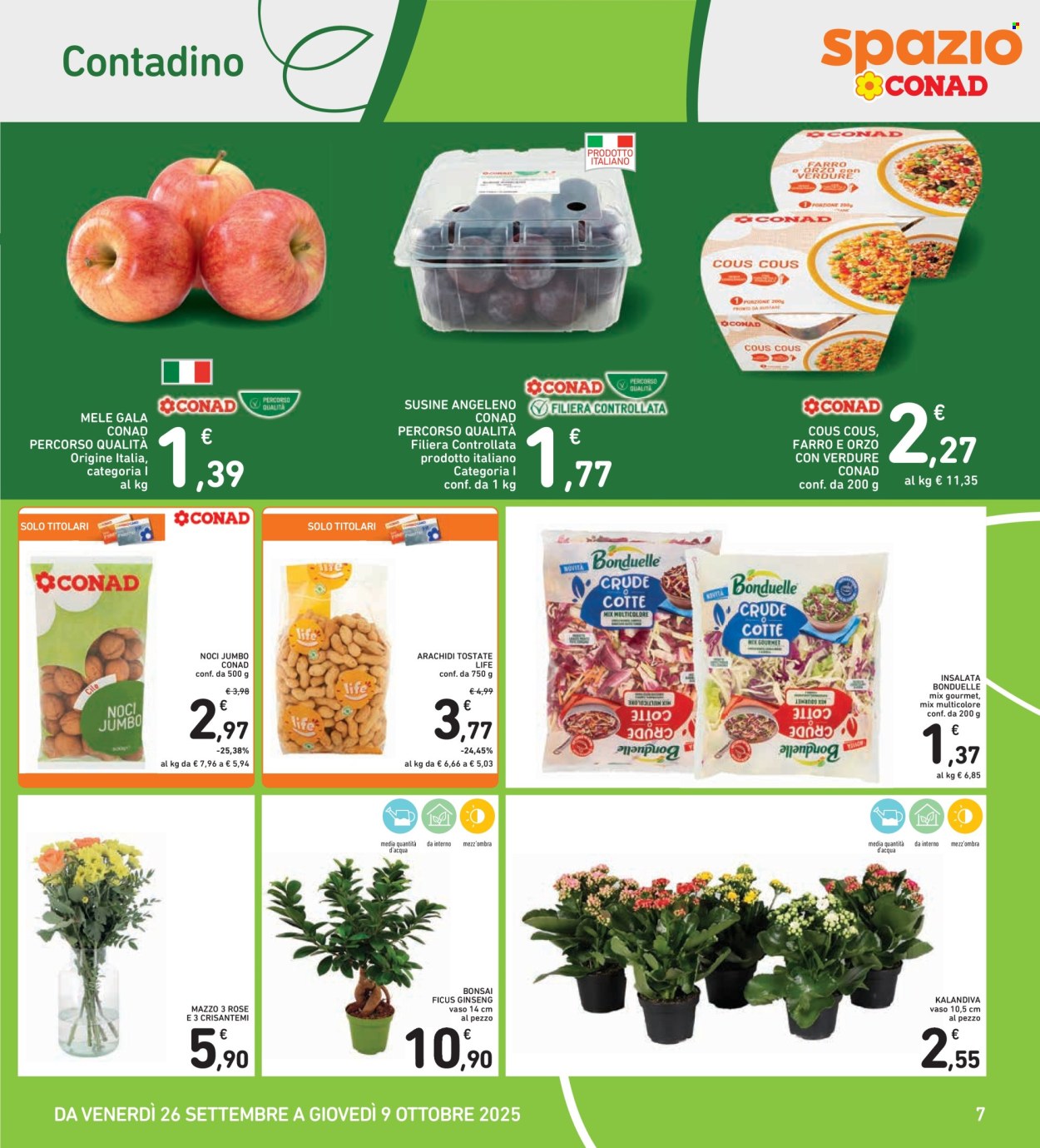 Volantino Spazio Conad - 26/9/2025 - 9/10/2025. Pagina 7