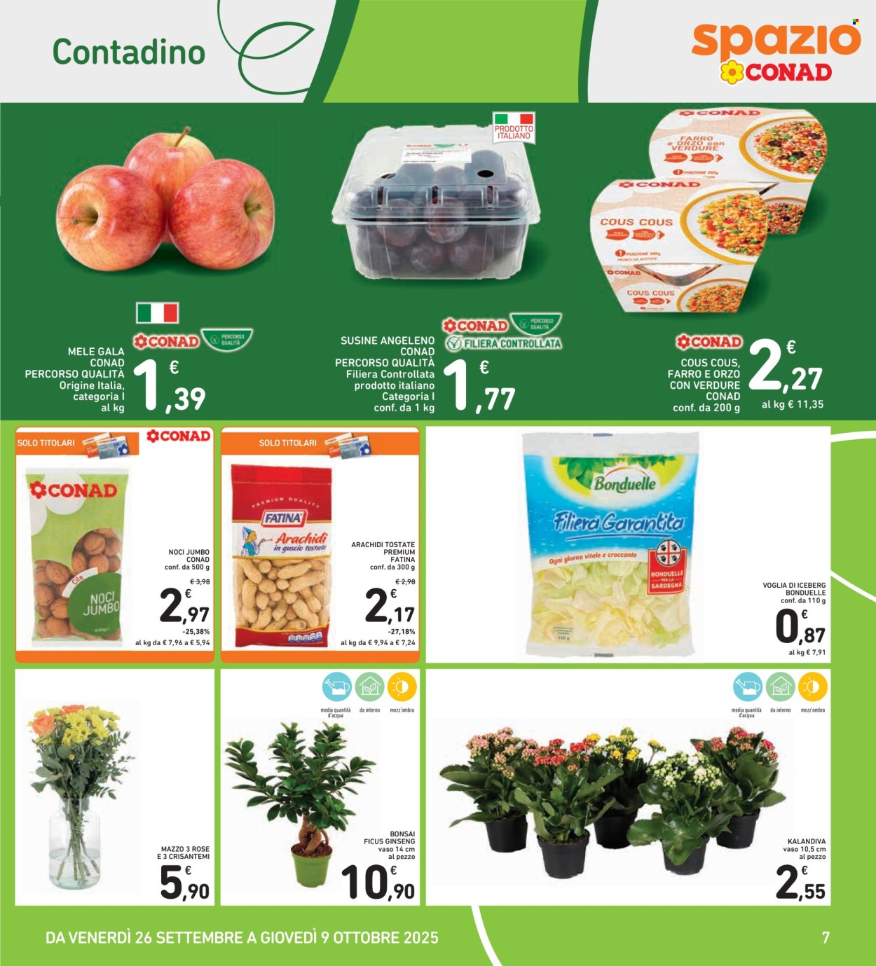 Volantino Spazio Conad - 26/9/2025 - 9/10/2025. Pagina 7