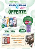 leaflet