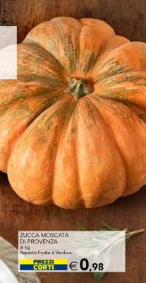 ZUCCA MOSCATA DI PROVENZA