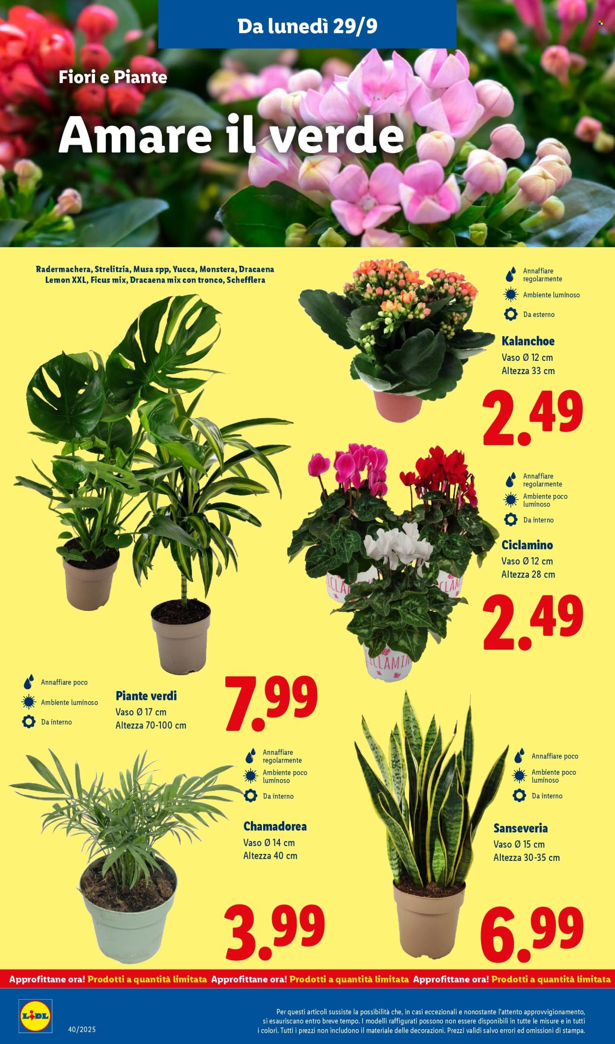Volantino Lidl - 29/9/2025 - 5/10/2025. Pagina 30
