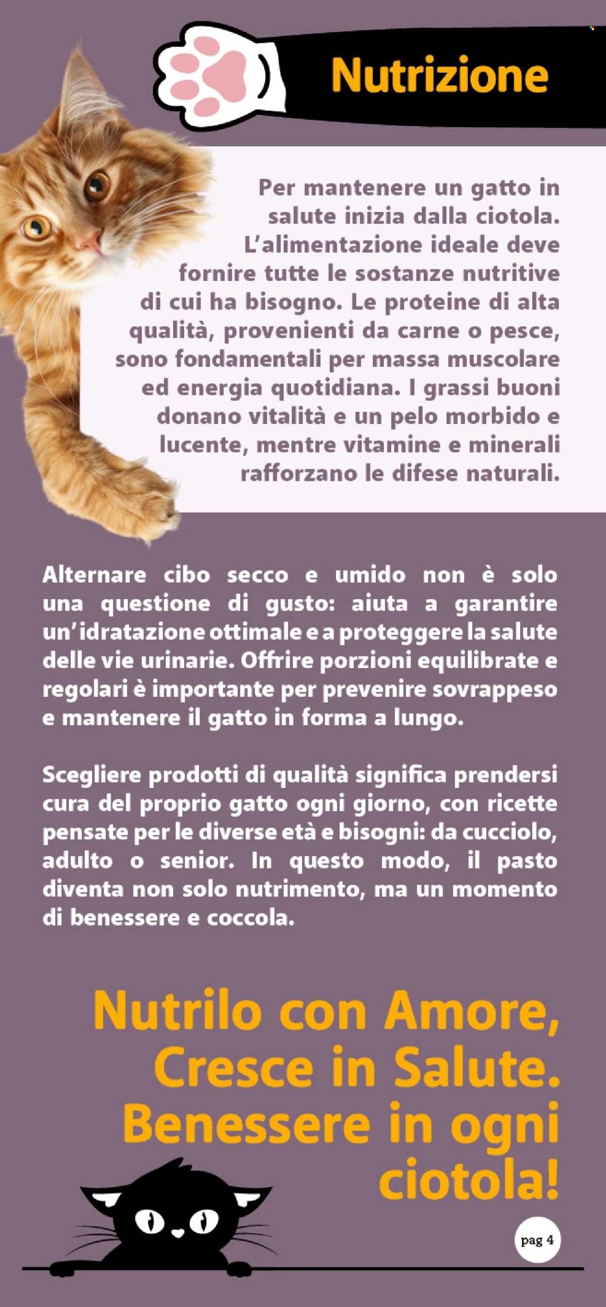 Volantino Famila - 26/9/2025 - 12/10/2025. Pagina 4