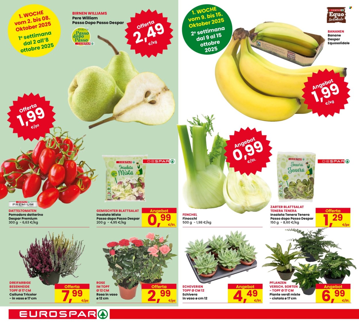 Volantino Eurospar - 2/10/2025 - 11/10/2025. Pagina 10