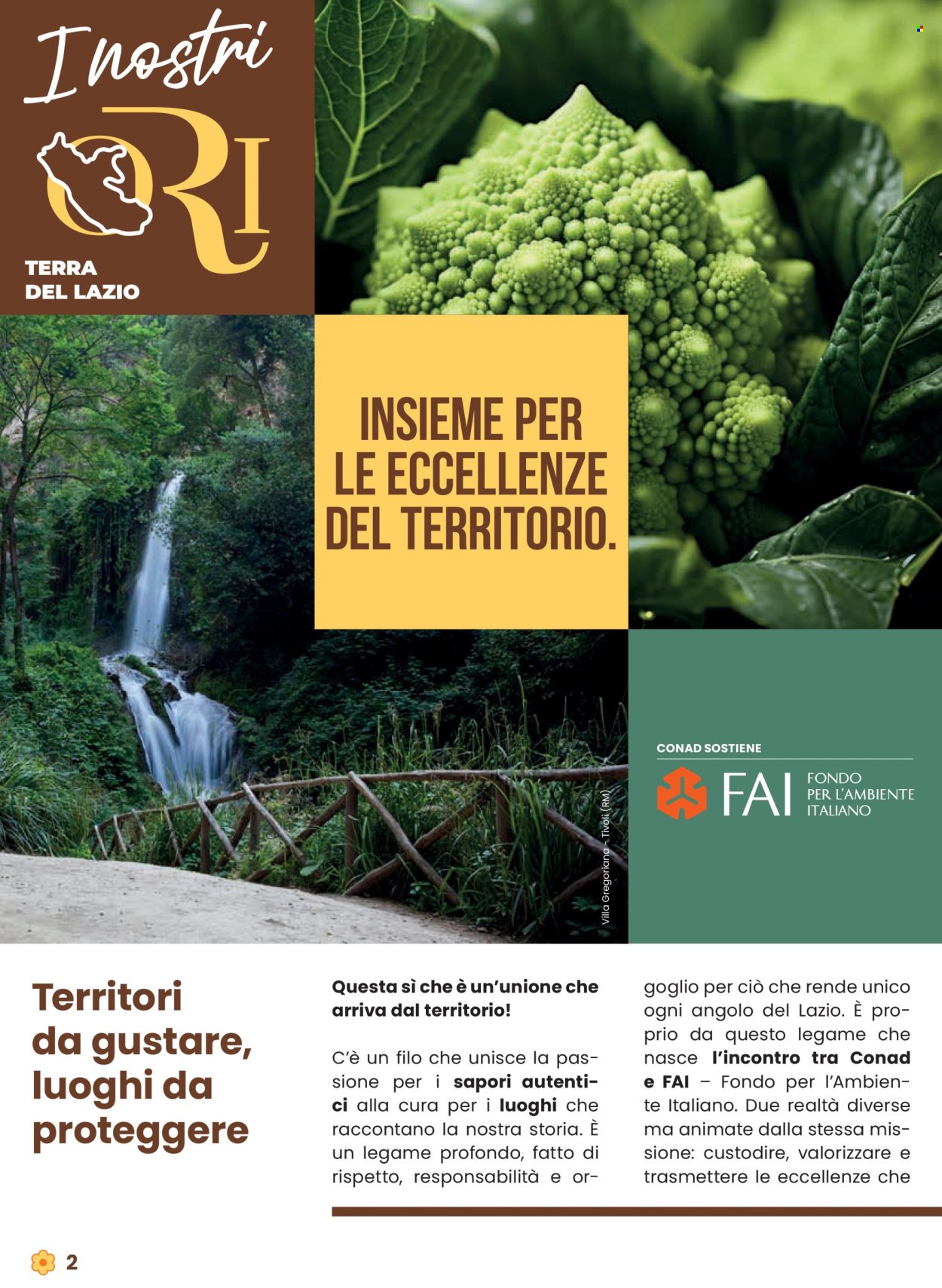 Volantino Conad - 9/10/2025 - 22/10/2025. Pagina 2