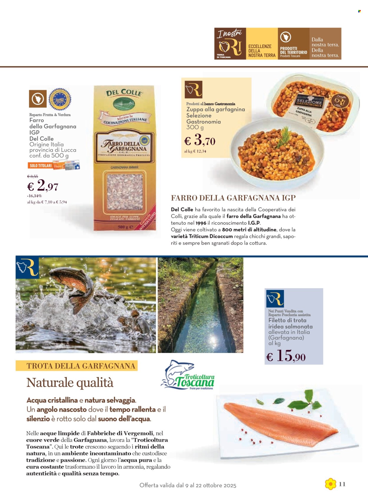 Volantino Conad - 9/10/2025 - 22/10/2025. Pagina 11