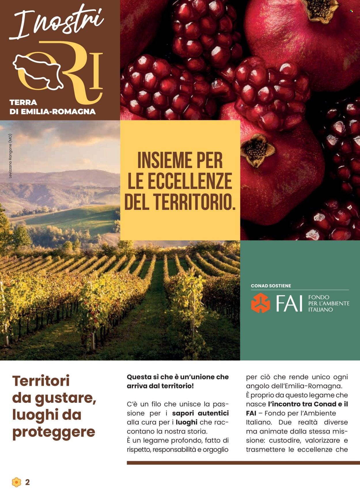 Volantino Conad - 9/10/2025 - 22/10/2025. Pagina 2