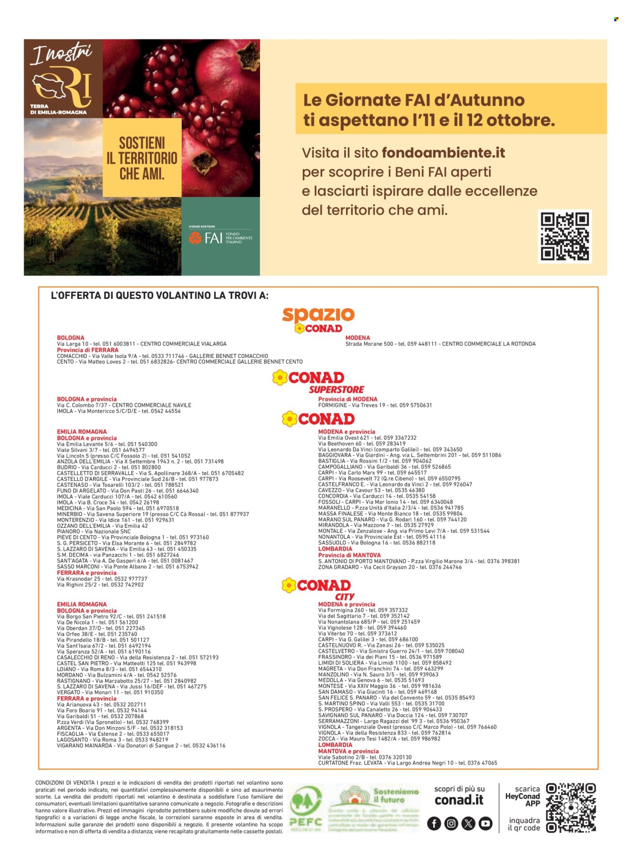 Volantino Conad - 9/10/2025 - 22/10/2025. Pagina 16