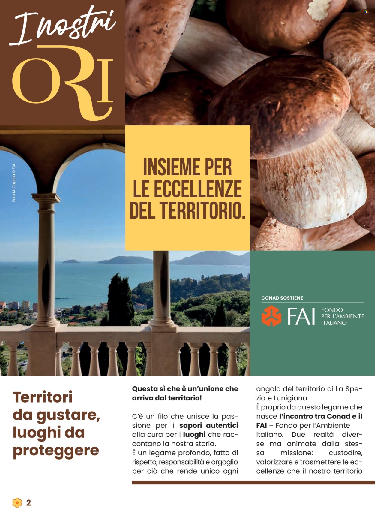 Volantino Conad - 9/10/2025 - 22/10/2025. Pagina 2