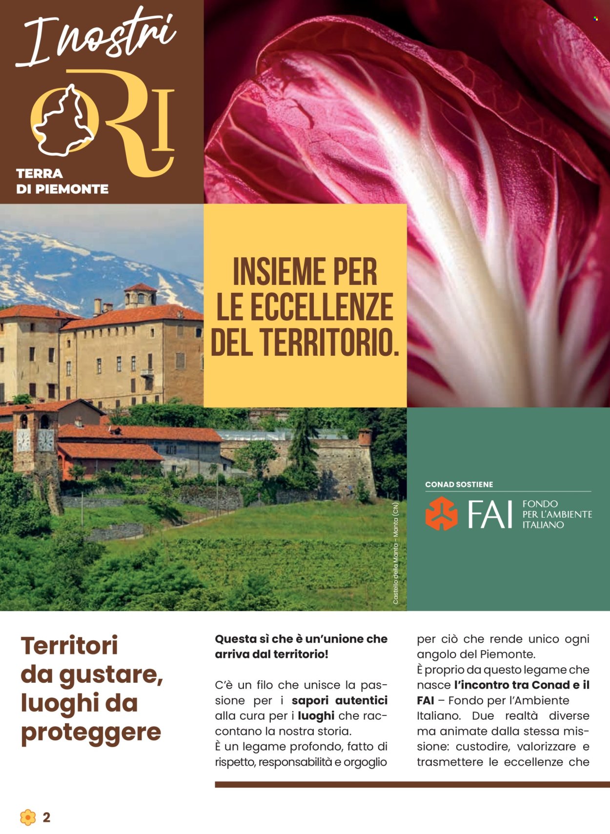 Volantino Conad - 9/10/2025 - 22/10/2025. Pagina 2