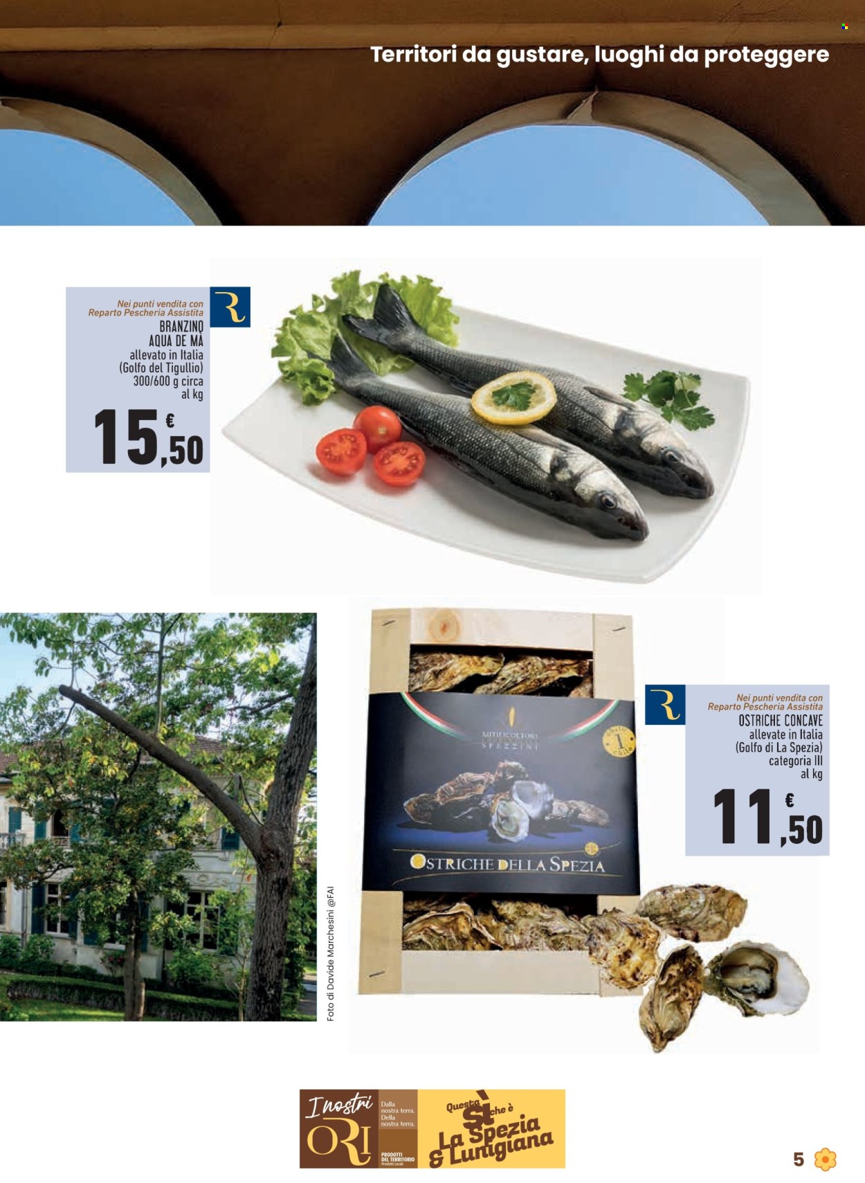 Volantino Conad - 9/10/2025 - 22/10/2025. Pagina 5