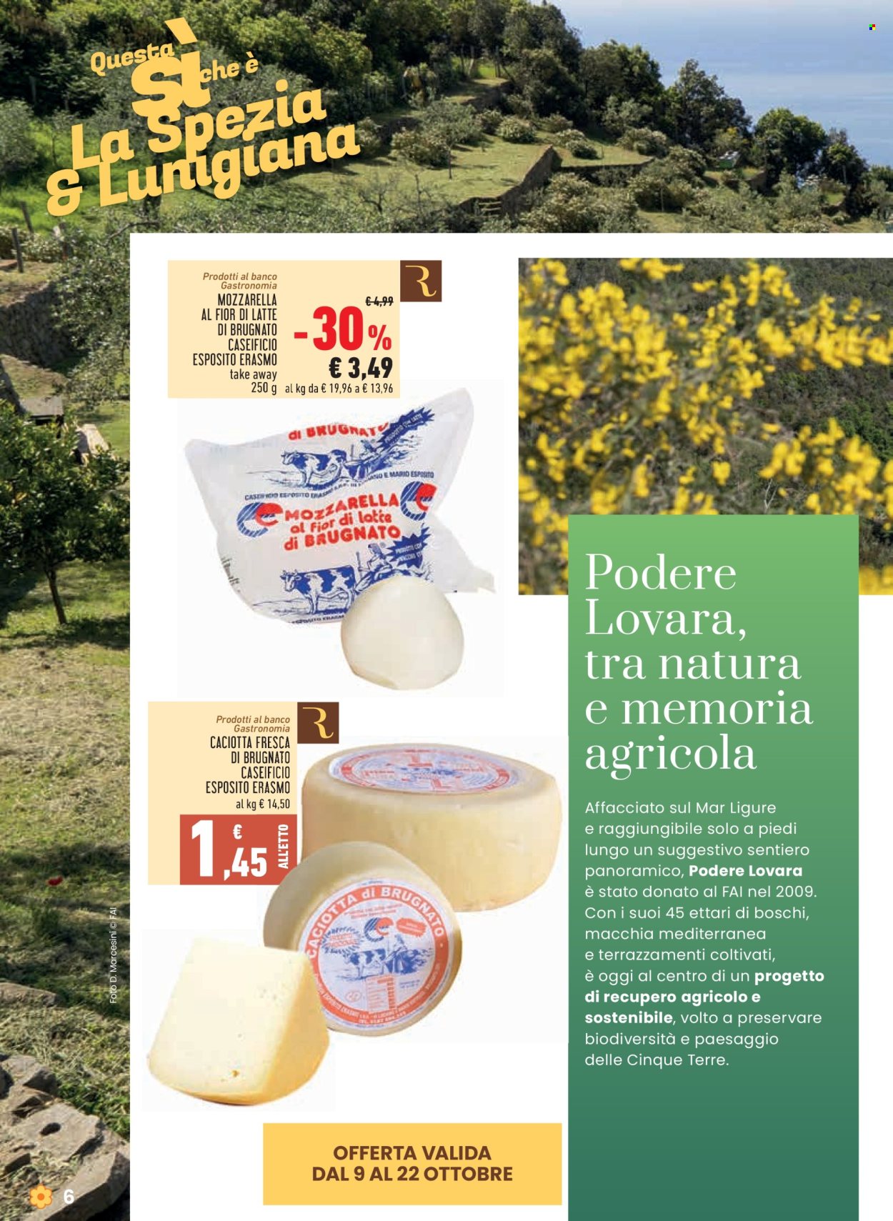Volantino Conad - 9/10/2025 - 22/10/2025. Pagina 6