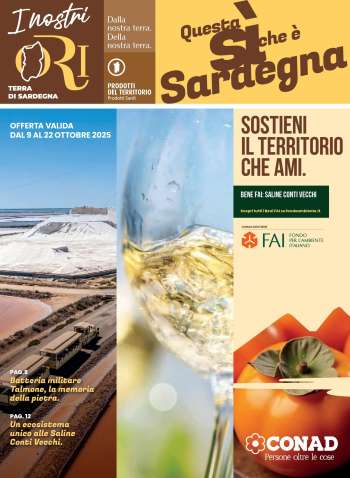 Volantino Conad - 9/10/2025 - 22/10/2025.