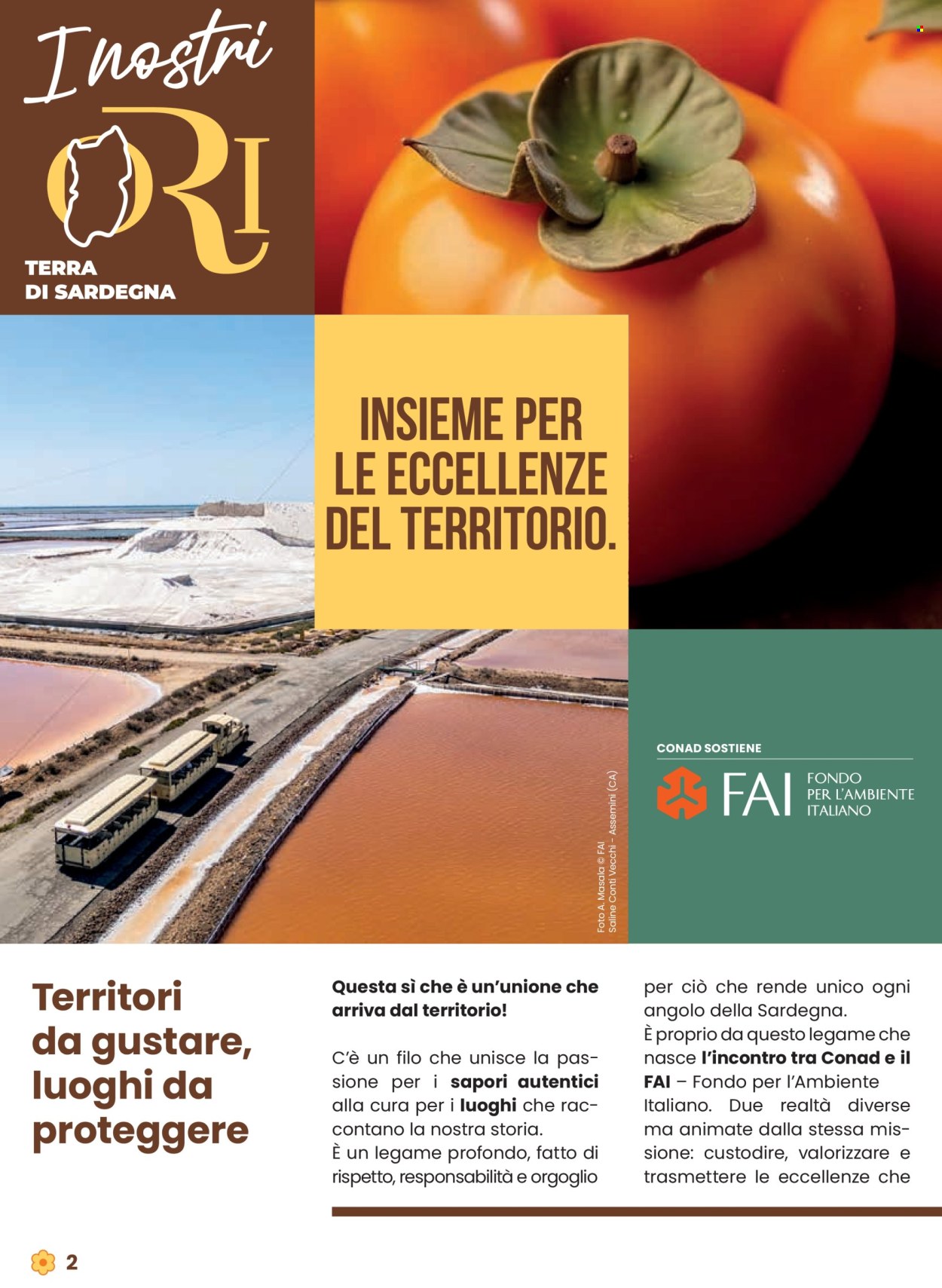 Volantino Conad - 9/10/2025 - 22/10/2025. Pagina 2