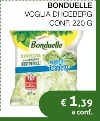 BONDUELLE VOGLIA DI ICEBERG