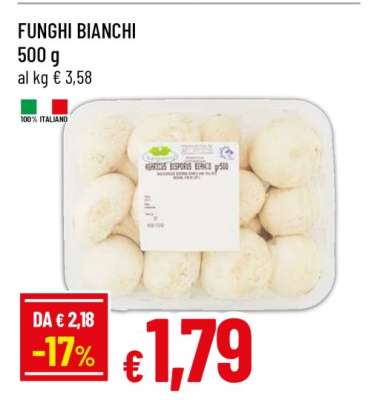 FUNGHI BIANCHI