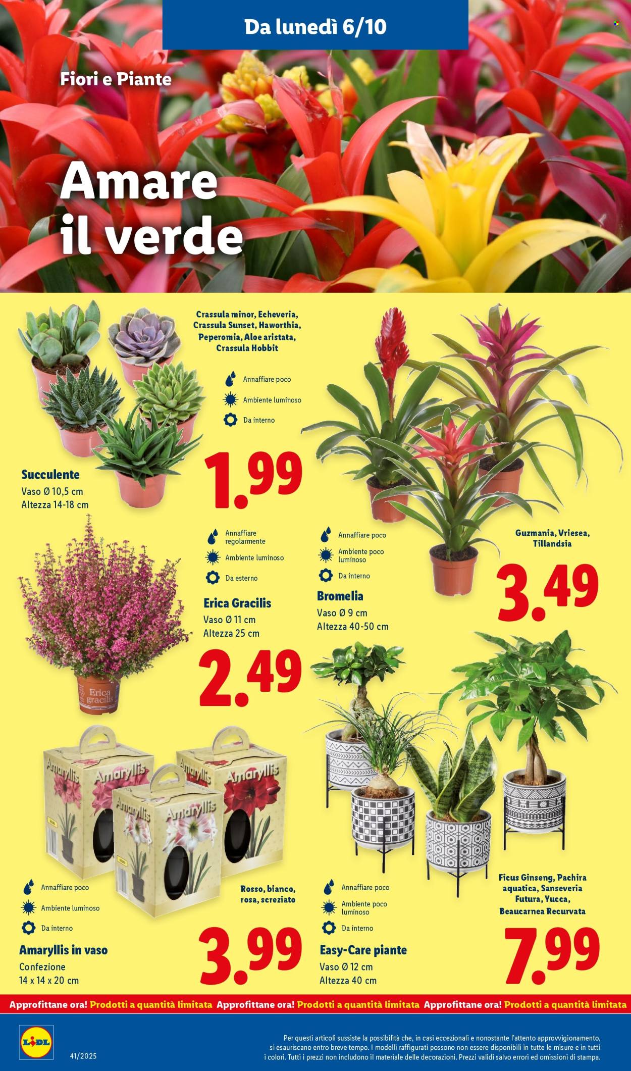 Volantino Lidl - 6/10/2025 - 12/10/2025. Pagina 44