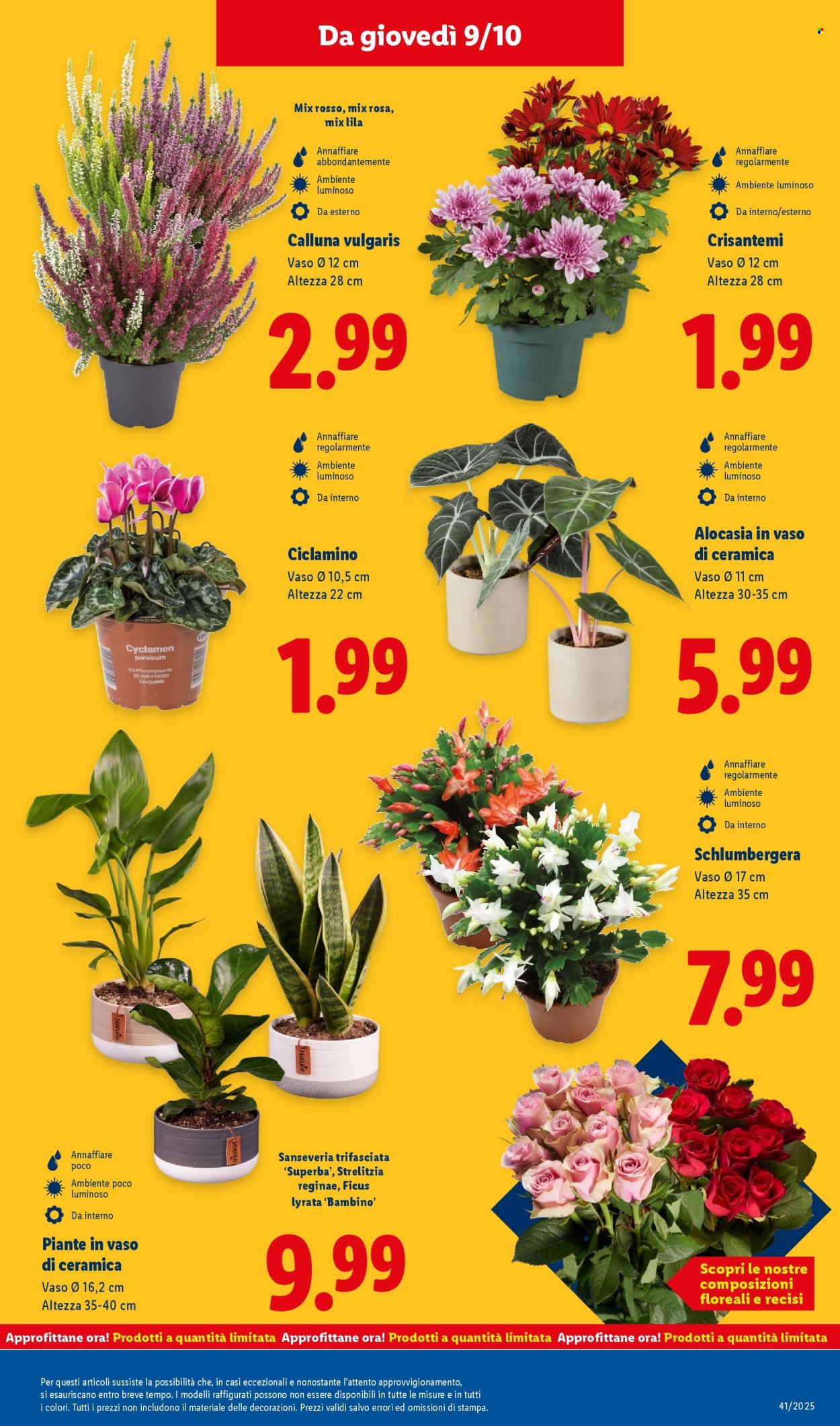 Volantino Lidl - 6/10/2025 - 12/10/2025. Pagina 45