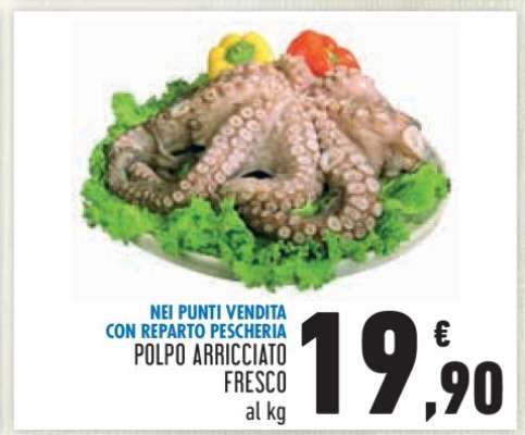 Polpo Arricciato Fresco