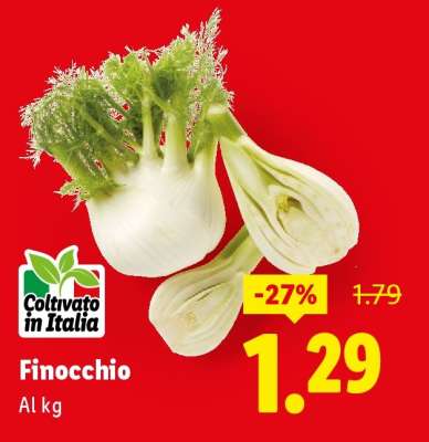 Finocchio
