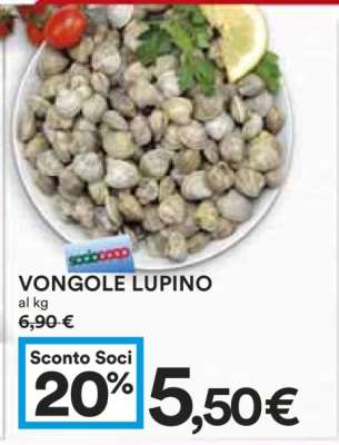 Vongole Lupino