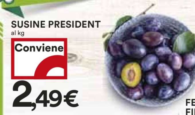 SUSINE PRESIDENT