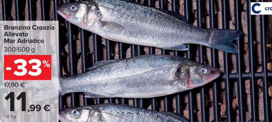 Branzino Croazia Allevato Mar Adriatico