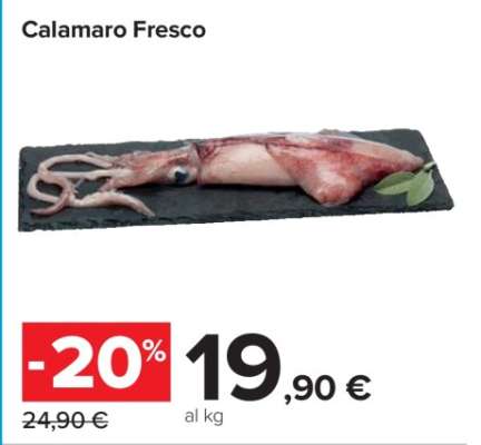 CALAMARO FRESCO