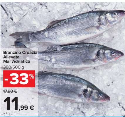 Branzino Croazia Allevata Mar Adriatico