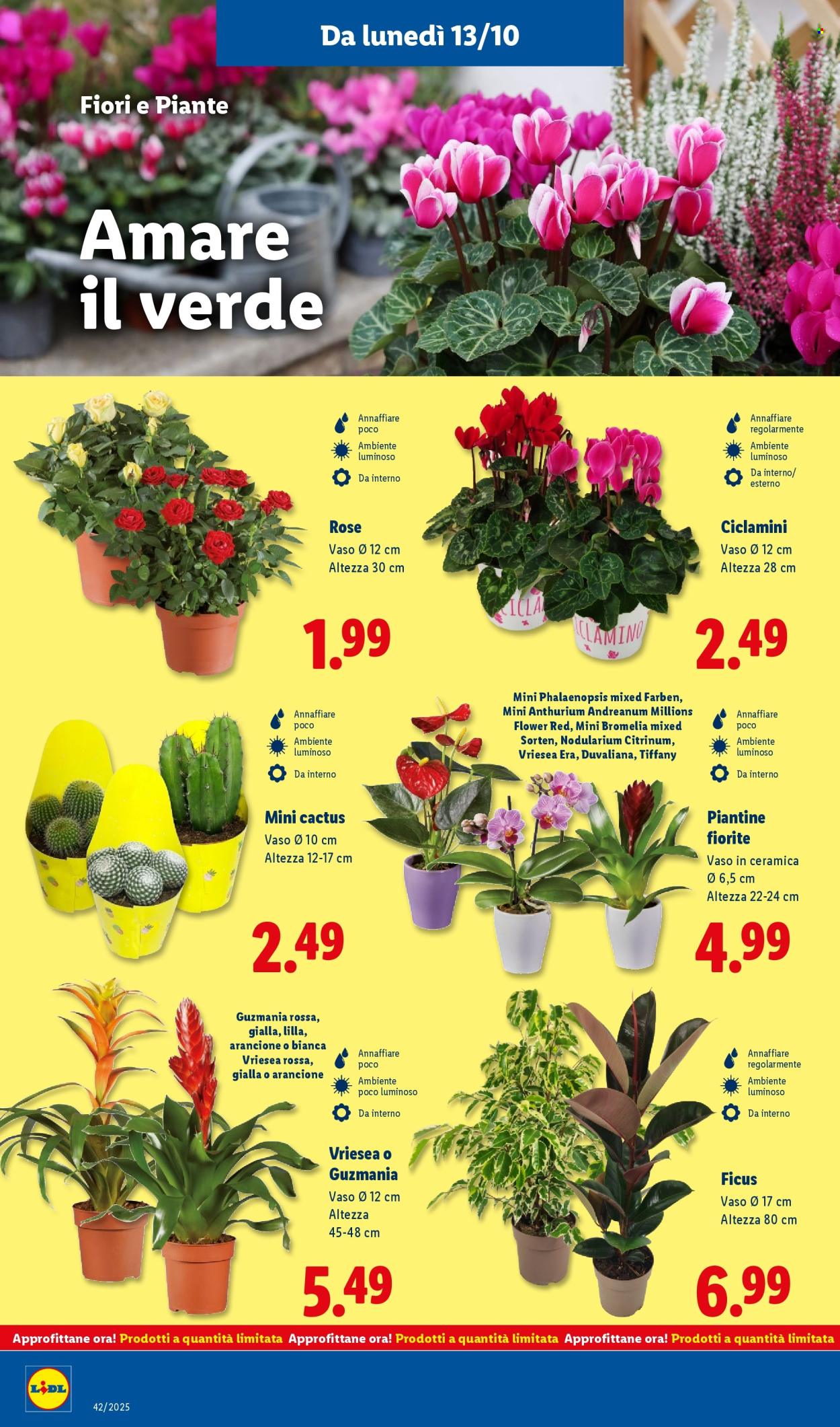 Volantino Lidl - 13/10/2025 - 19/10/2025. Pagina 44
