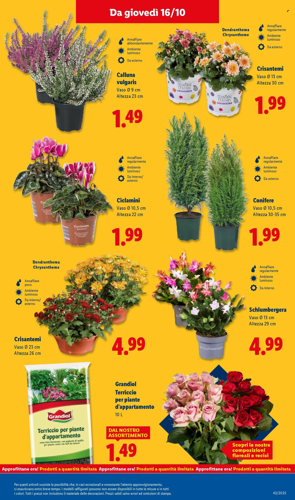 Volantino Lidl - 13/10/2025 - 19/10/2025. Pagina 45
