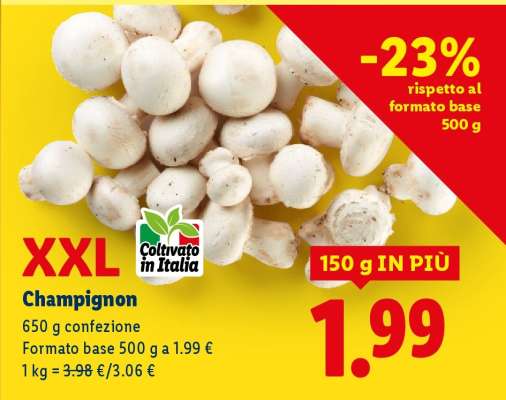 Champignon XXL