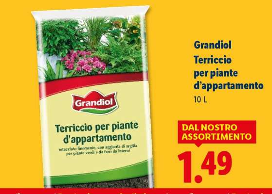 Grandiol Terriccio per piante d'appartamento
