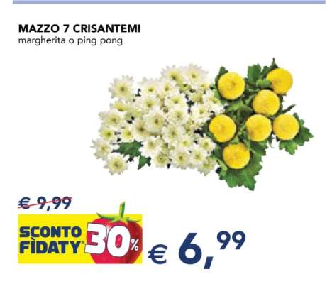 MAZZO 7 CRISANTEMI