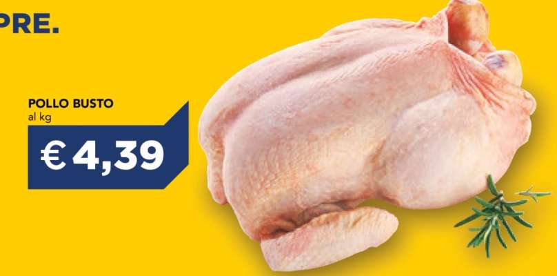 Pollo Busto