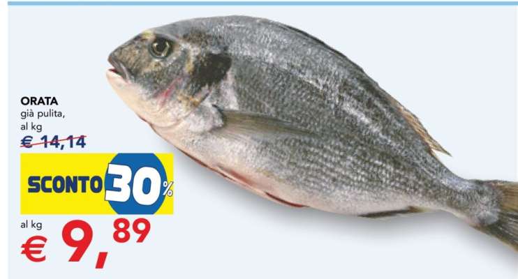 Orata