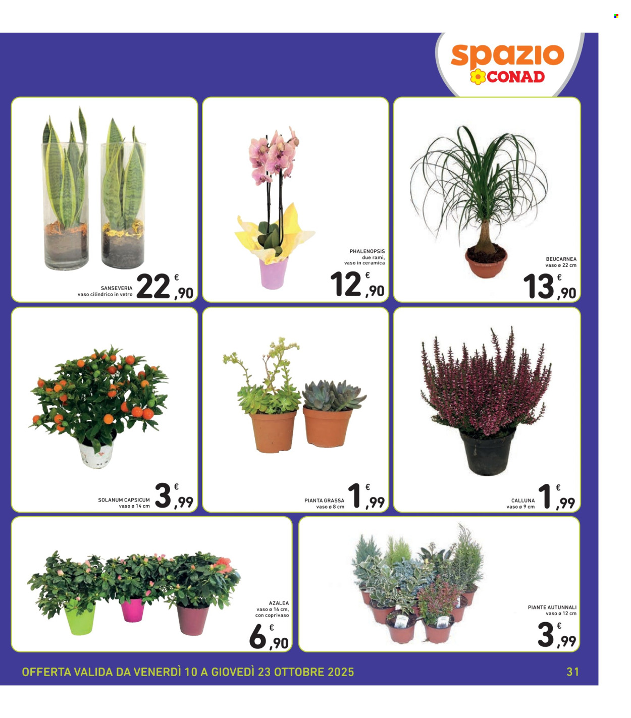 Volantino Spazio Conad - 10/10/2025 - 23/10/2025. Pagina 31