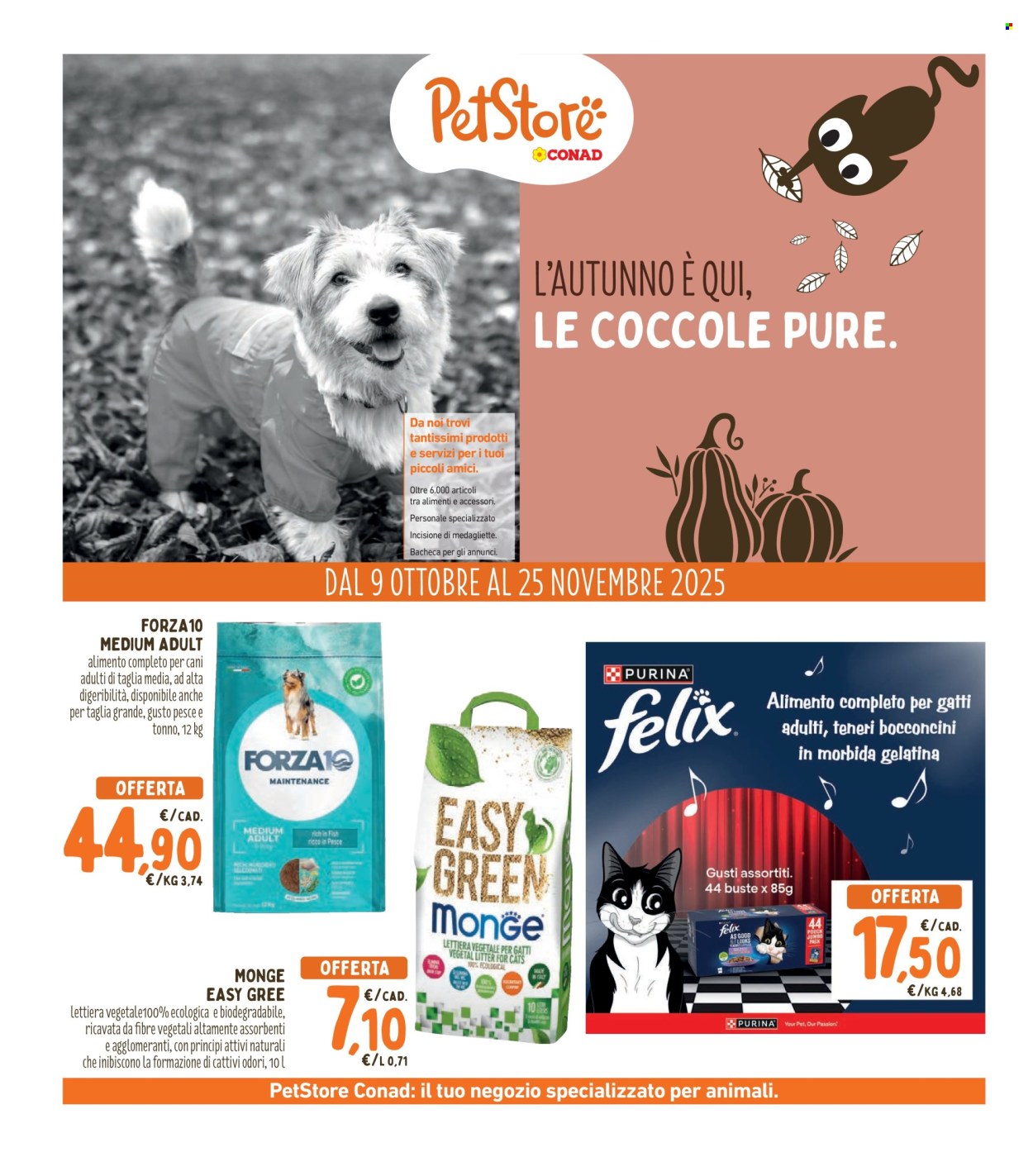 Volantino Spazio Conad - 10/10/2025 - 23/10/2025. Pagina 21