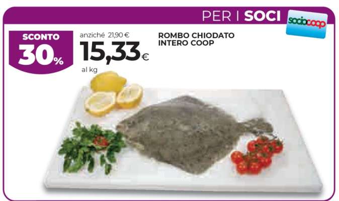 ROMBO CHIODATO INTERO COOP