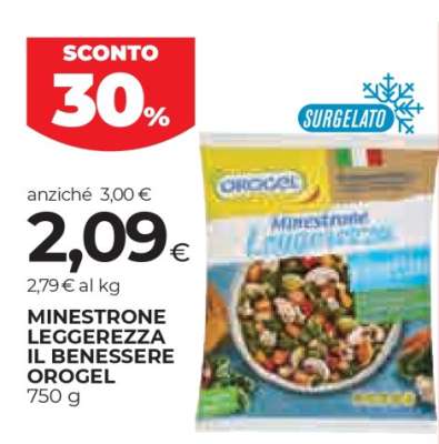 MINESTRONE LEGGEREZZA IL BENESSERE OROGEL