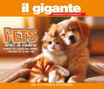 Volantino Il Gigante - 13/10/2025 - 9/11/2025.