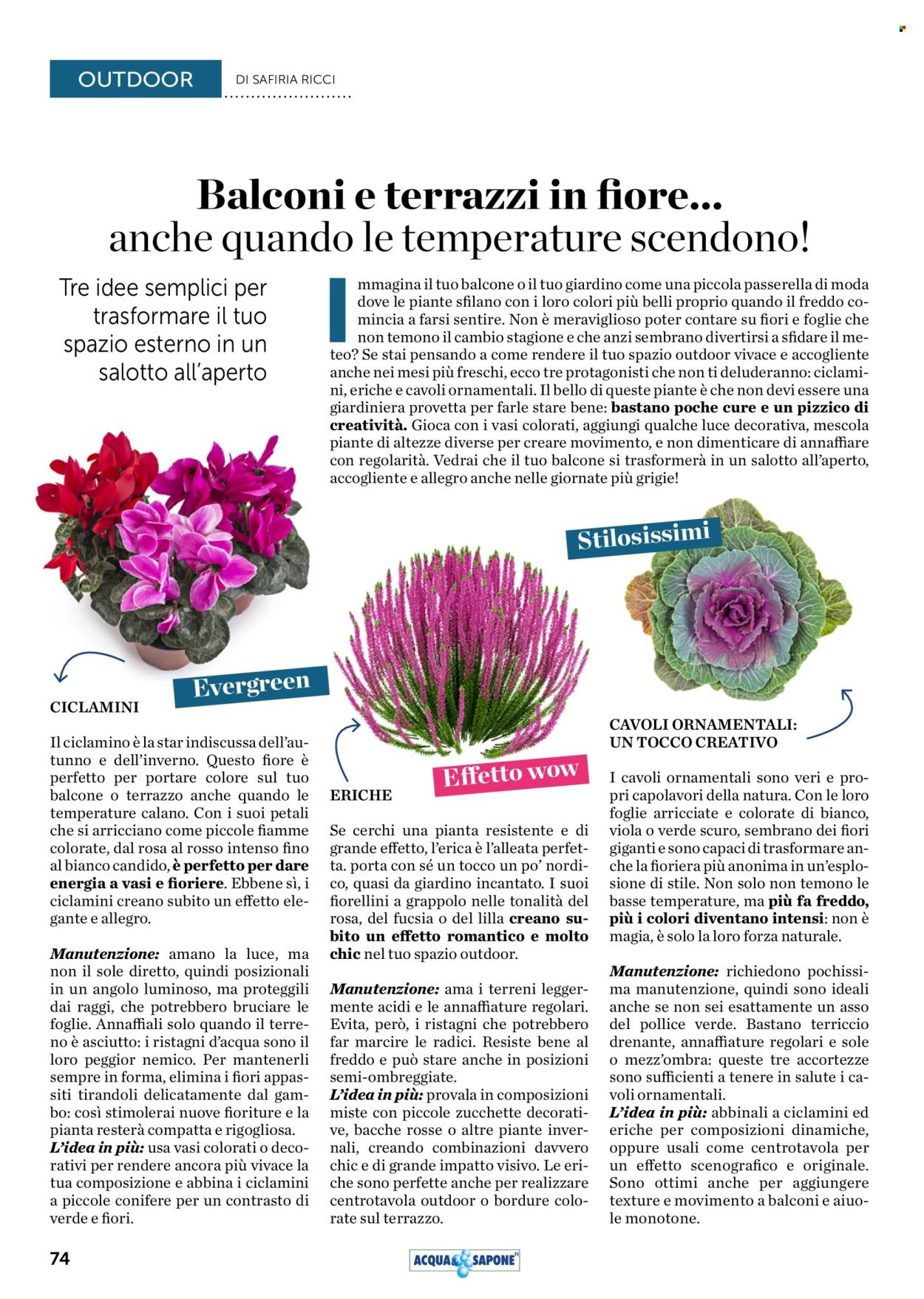 Volantino Acqua & Sapone - 1/10/2025 - 31/10/2025. Pagina 74