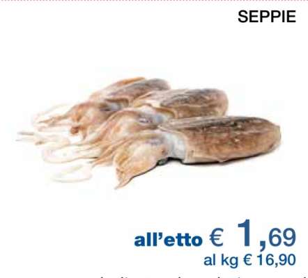 Seppie